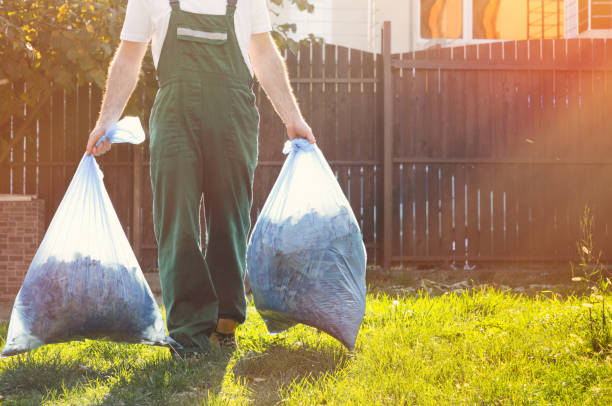 Best Electronics and E-Waste Disposal  in Cobb Island, MD